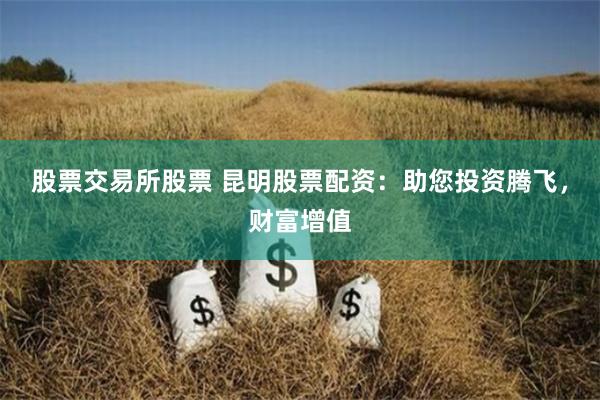股票交易所股票 昆明股票配资：助您投资腾飞，财富增值